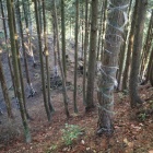 ３位田屋城：主郭背後の大堀切