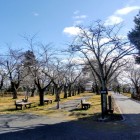 要害時代は多くの建物が建っていた主曲輪