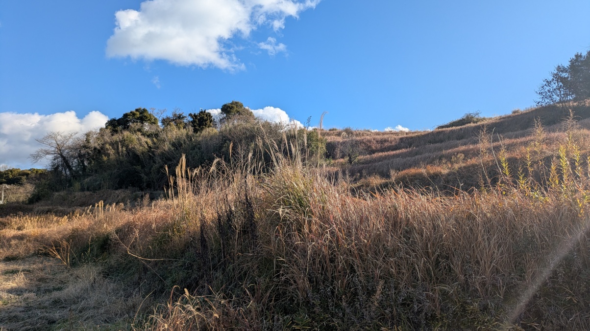電気柵で入れない