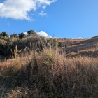 電気柵で入れない