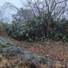 二の丸の矢印があるが・・・