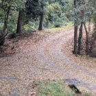 二の丸の先の堀切