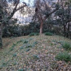 北東側のコーナー部