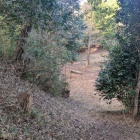 本丸の虎口、鞍部を見下ろす