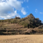 見上げる段々畑