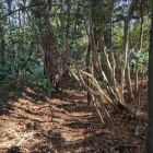 西峰の先の空堀