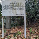 二の丸の説明板