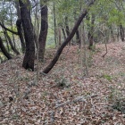 家臣団屋敷の土塁