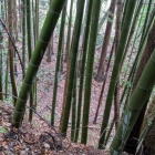 深い谷で守られる