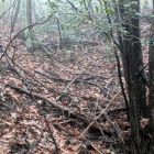 西側の三重堀切の一条