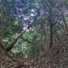 本丸背後の堀切