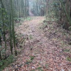 細くなった尾根道