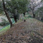 南東部、隅櫓があったとされる