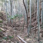 ⑩	南北の曲輪を遮断する切堀の跡