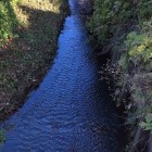 ⑥	佐和山城外堀