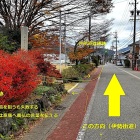 ⑤	徳川家康陣から島津隊が逃げた方向