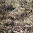 ⑨	松山之陣入口の道