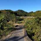 ①	大手口から見上げた佐和山城