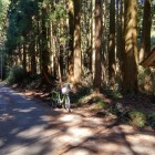 ⑦	坂の向こう側（井伊直政はここで撃たれたのか？）