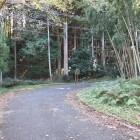 ⑤	途中にあるカーブ（伊勢西街道）