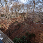 紅葉谷・黒門橋から