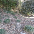 やや凹んでいる、堀跡なのでしょう