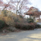 大光寺境内の土塁跡