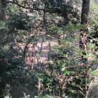 分かりづらいが南尾根下の段郭が見える