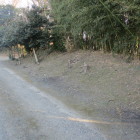 陽雲寺北側の土塁