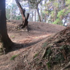 奥が南の郭・土塁状の高まりも、間が堀状の窪み