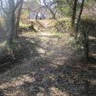 北側から一段高い主郭を眺める