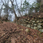 伝平井丸の石垣。土塁代わりでしょうか