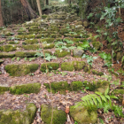 伝三の丸から伝本丸への大石段。脇の排水路は当時からあるものかは不明