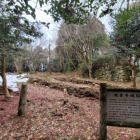 本丸。雪が少し残ってました