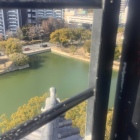 お濠　幅広し　鯉でかし