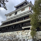 天守を川側から