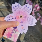 犬山祭で有名な針綱神社