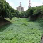 二之丸東辺の空堀