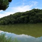 岡ミサンザイ古墳後円部西辺