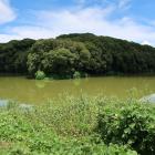 岡ミサンザイ古墳前方部南西隅