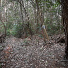登城路・南山への分岐点