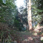 寺前城との間の堀切