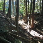 画像1の竪堀頂部