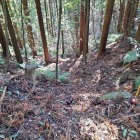 車橋跡下の堀切は竪堀となって落ちる