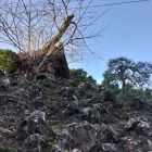 法面のゴツゴツした岩肌