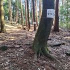 常盤門跡＆常盤曲輪(二の丸)