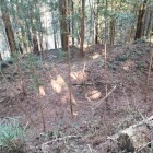 物見台奥の二重空堀