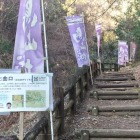 七曲りのはじまり～！