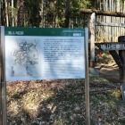 ここから山道に入る