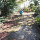 本丸東城塁上部南側